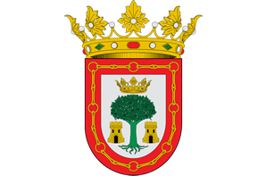 Ayuntamiento de Olite