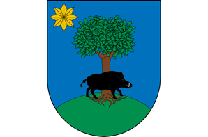Ayuntamiento de Doneztebe