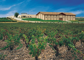 Bodegas Marco Real