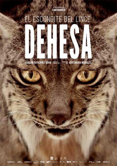 Dehesa, el bosque del lince ibérico Dehesa, el bosque del lince ibérico