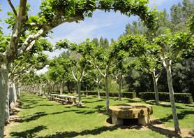 Parque Fluvial El Barranco