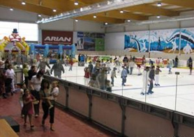 Palacio de hielo de Huarte Palacio de hielo de Huarte