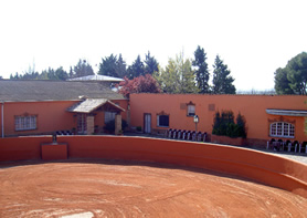 Finca Taurina "El Montecillo"