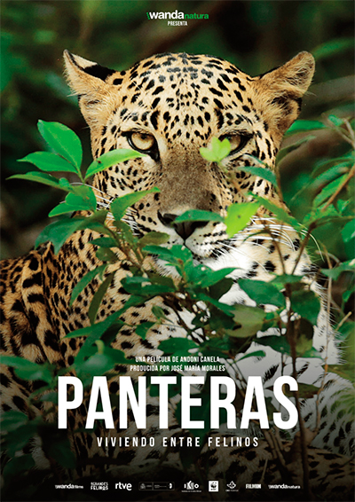 Panteras Panteras
