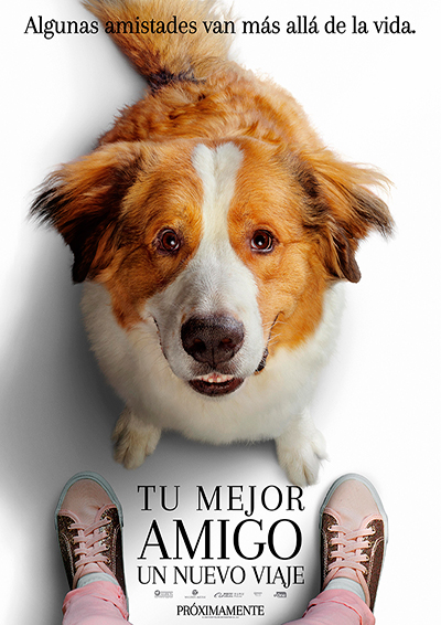 Tu mejor amigo: un nuevo viaje Tu mejor amigo: un nuevo viaje