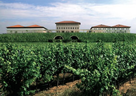 Bodegas Rioja Vega