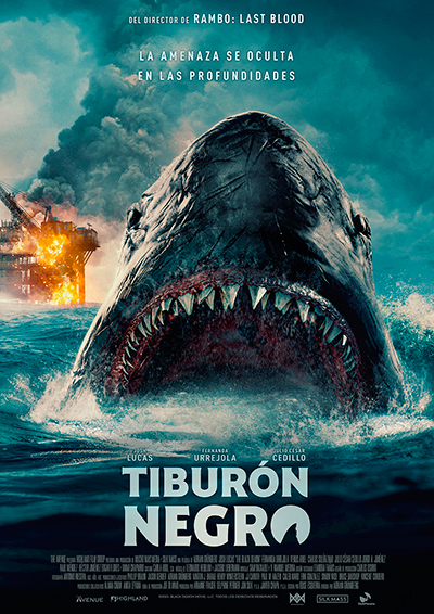Tiburón negro Tiburón negro