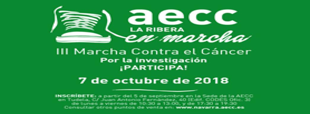 III Marcha contra el cáncer en Tudela