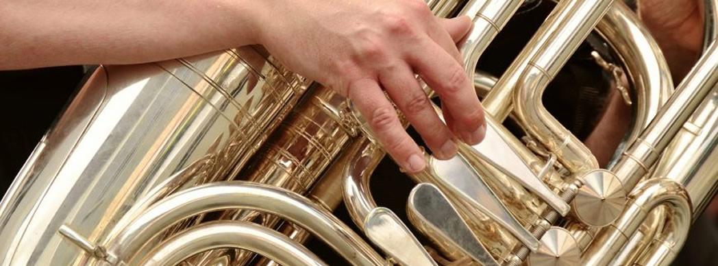 Conciertos de Bandas de Música de Navarra
