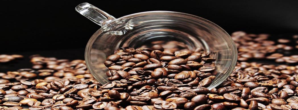 Cata de café