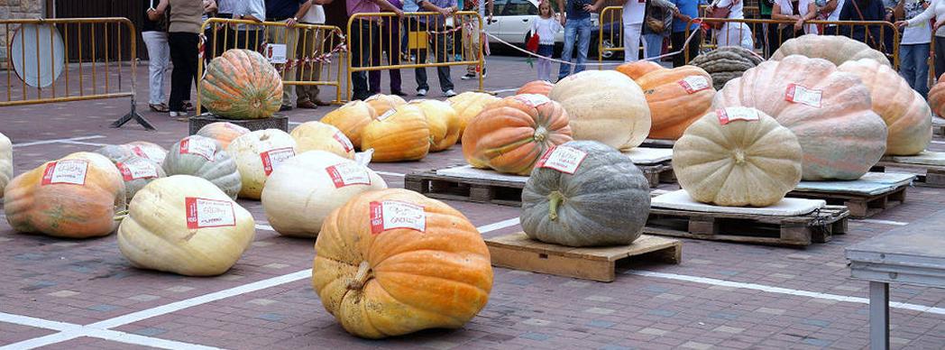 Feria de Calabazas Gigantes de Navarra en Valtierra 2019