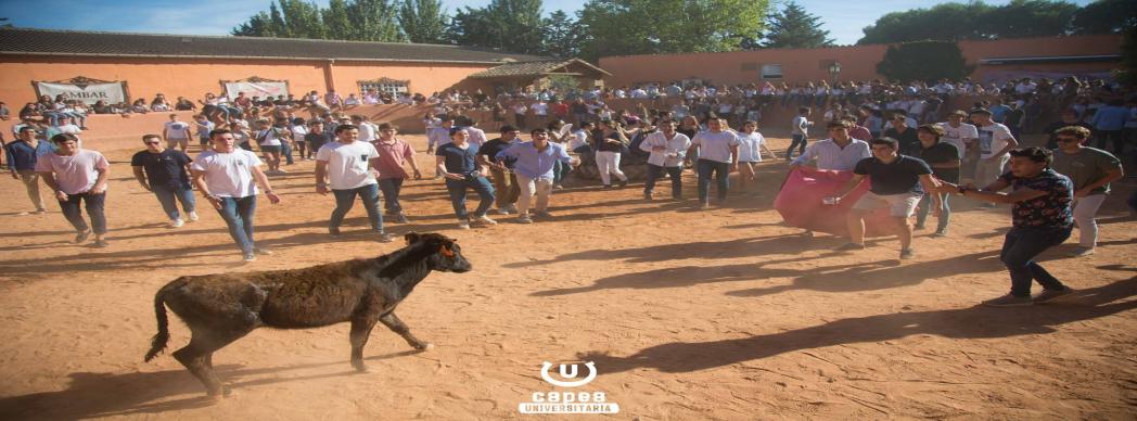 10ª Capea Universitaria 2019