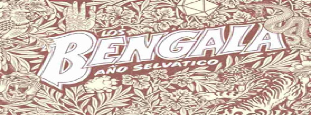 Los Bengala en concierto