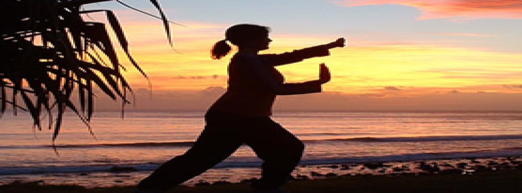 Encuentro de Tai-Chi