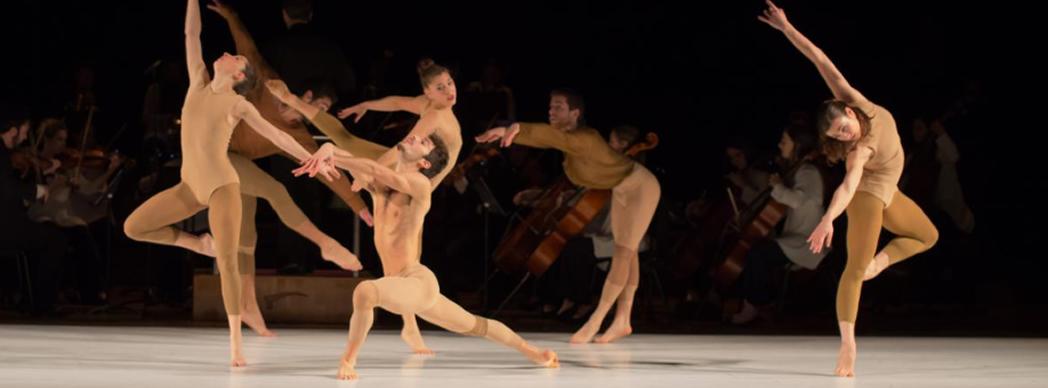 Dantzabidea – Danza
