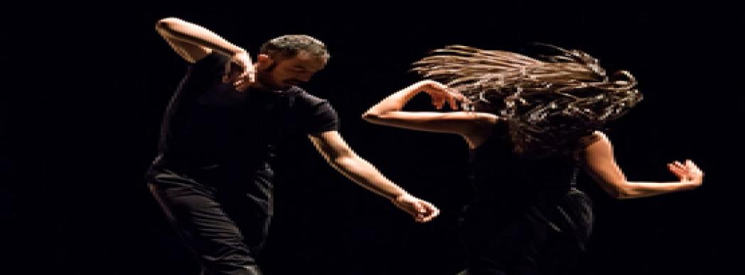 Festival de Danza Contemporánea de Navarra (DNA)