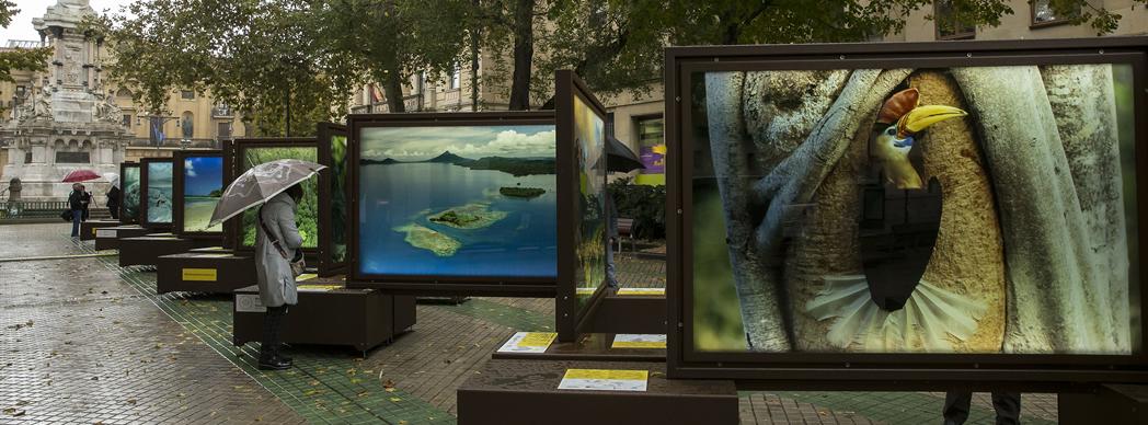 Exposición itinerante: "De Polo a Polo"