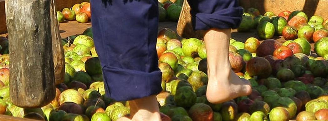 Día de la Sidra en Lekunberri 2020