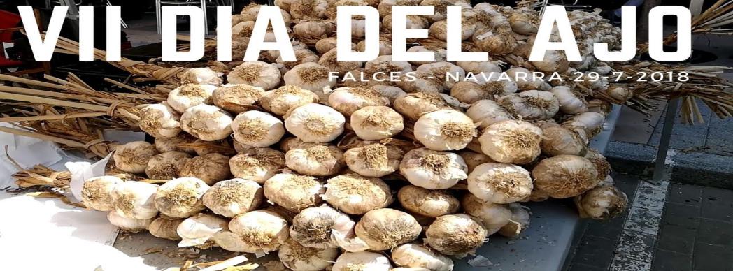 Día del Ajo de Falces 2019