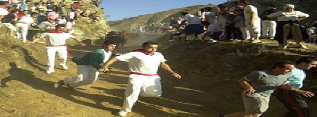 Fiestas Patronales de Falces 2018