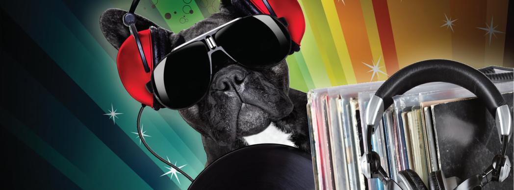 Feria del Vinilo en Itaroa 2017