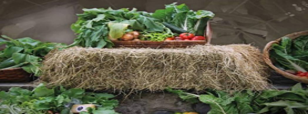 Mercado de productos de Leitza y Areso 2017