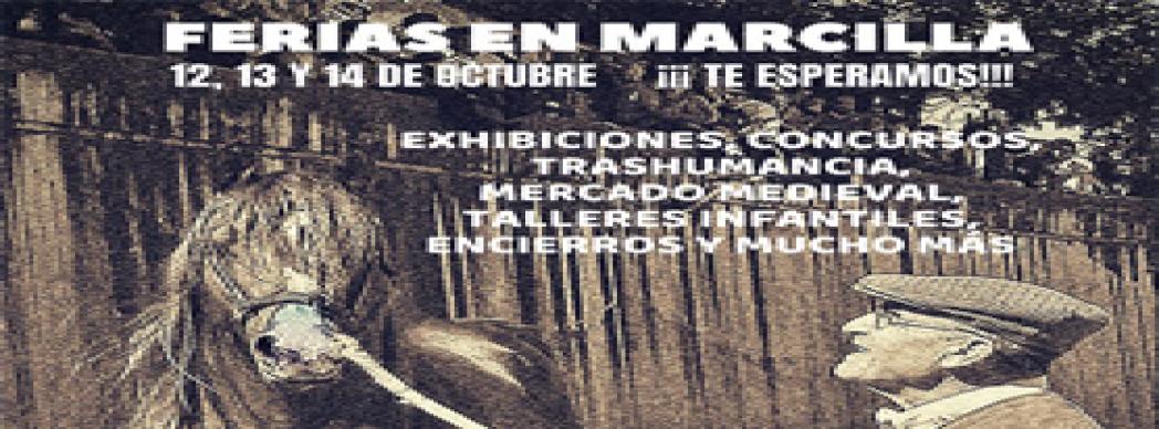 Feria del Caballo y Medieval en Marcilla 2018