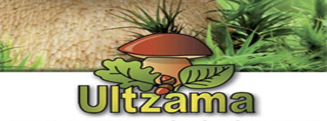 Día del Hongo en el Valle de Ultzama 2018