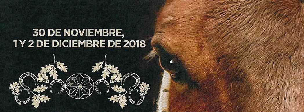 Ferias de San Andrés en Estella/Lizarra 2018