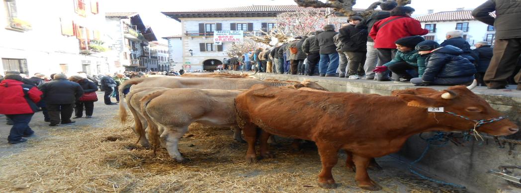 Ferias de Otoño en Lesaka 2019