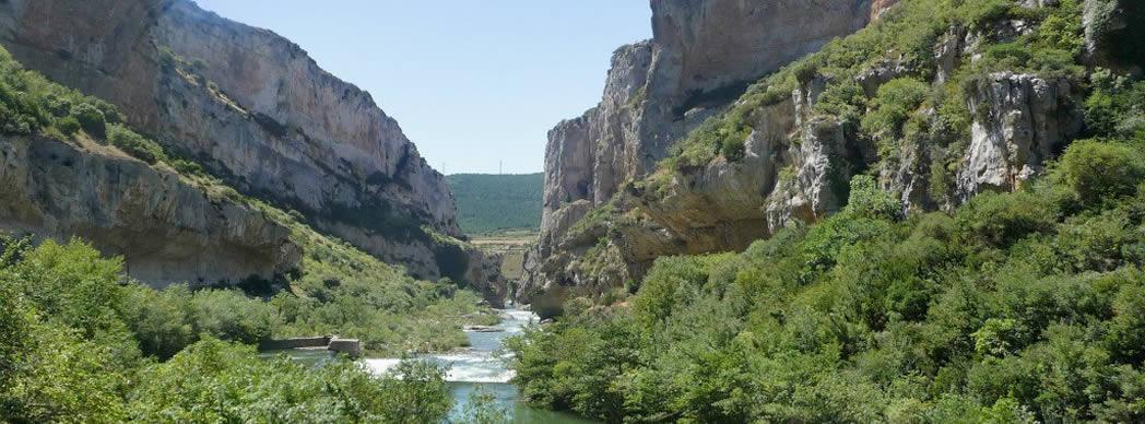 Taller-salida: Huellas y rastros (Foz de Lumbier)