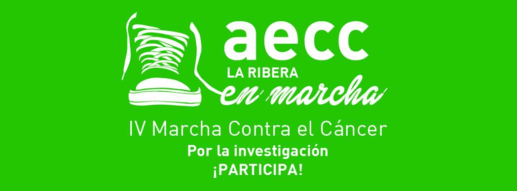 IV Marcha Contra el Cáncer 'Por la investigación' en Tudela 2019