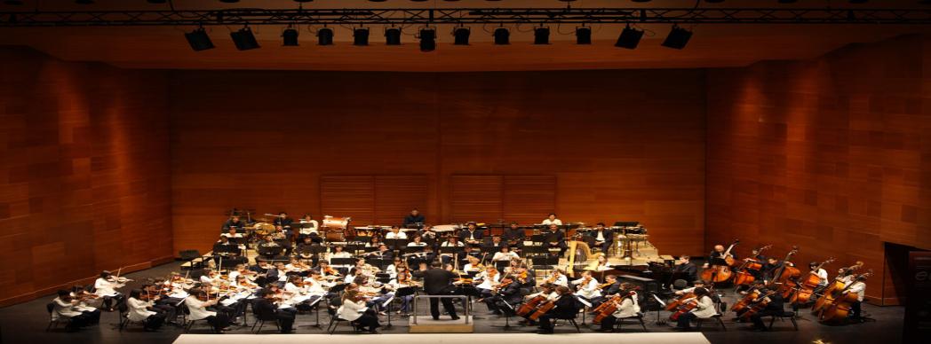 Concierto con la Joven Orquesta de Euskal Herria
