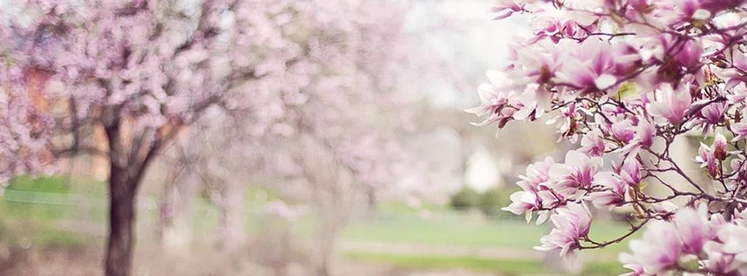 Taller familiar: "La primavera, ¡a la vuelta de la esquina!"