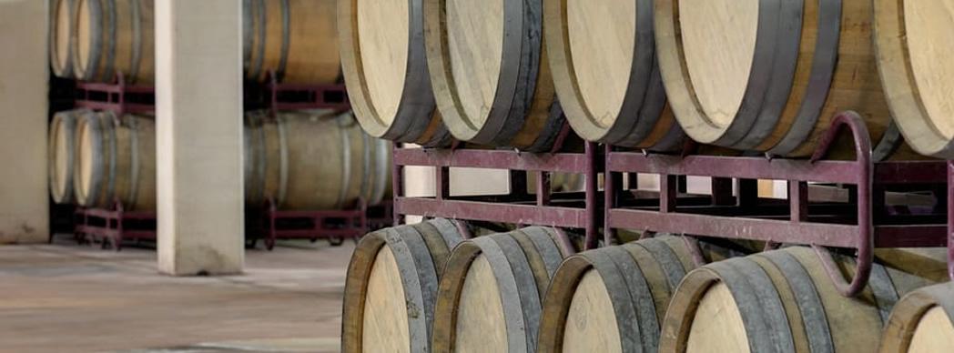 Visita guiada + cata de vinos en Bodega Malón de Echaide