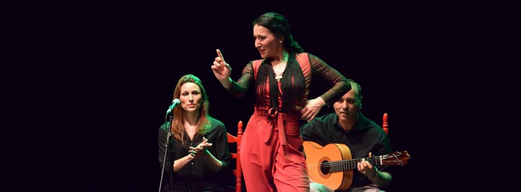Espectáculo flamenco: "Marea de violetas"