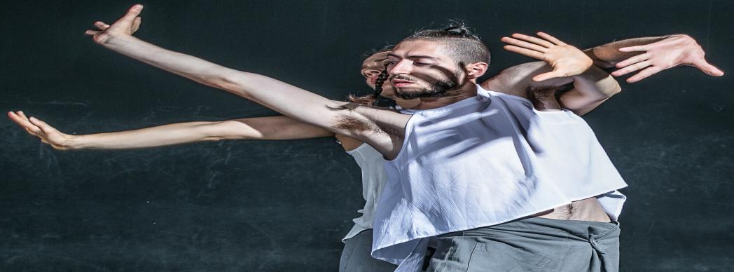 Museo en danza: "No hay flores inútiles"