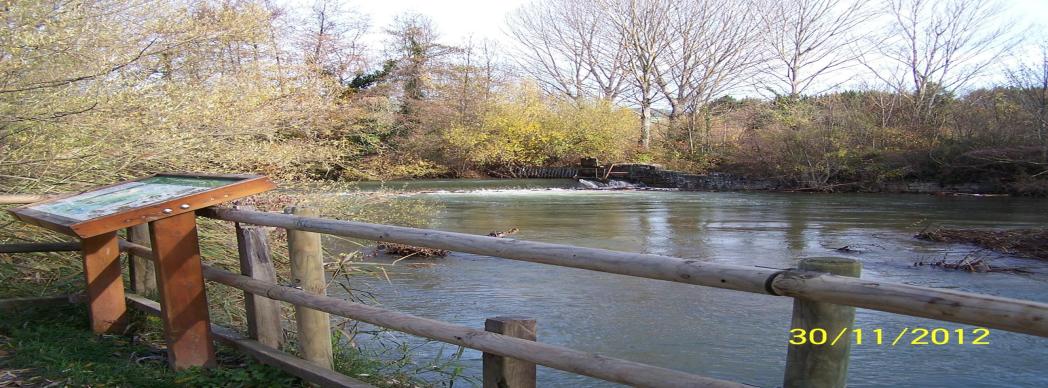 Visita guiada: "Conoce el Parque Fluvial de Huarte"