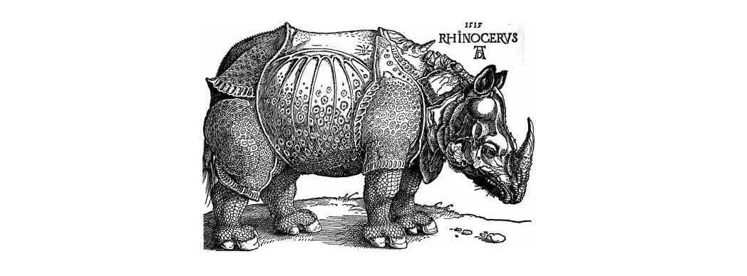 Teatro: "Rinoceronte"