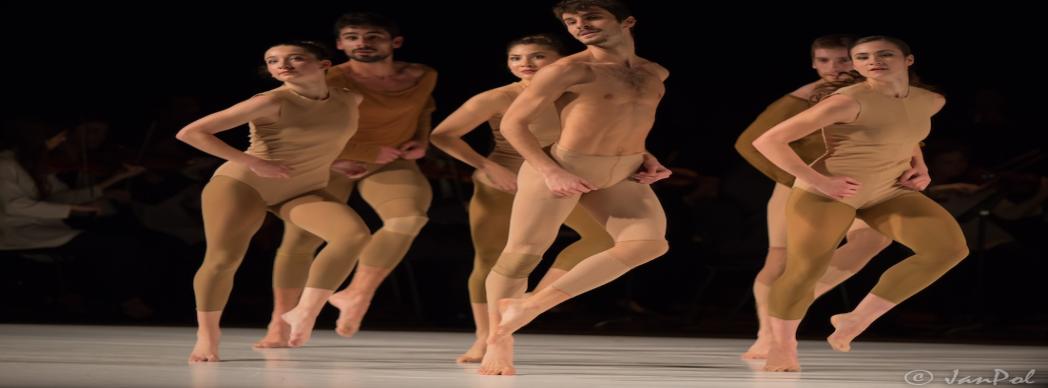 Danza contemporánea: "Sei"