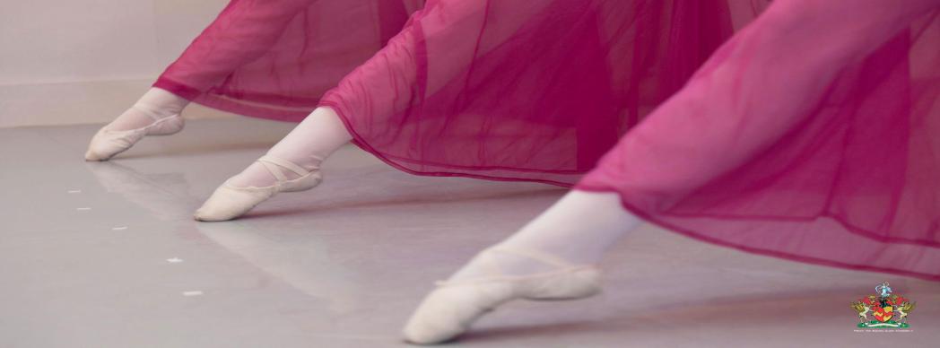 Festival Clásico Studio Dance Ballet