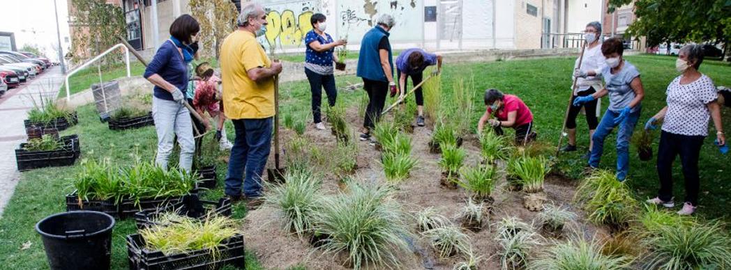 Taller quincenal 'Jardines en Auzolan'