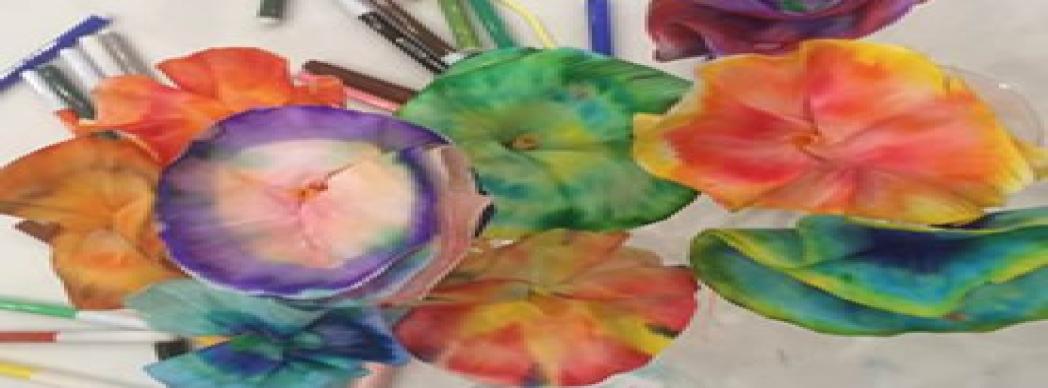 Taller científico para niños: Flor de cromatografía