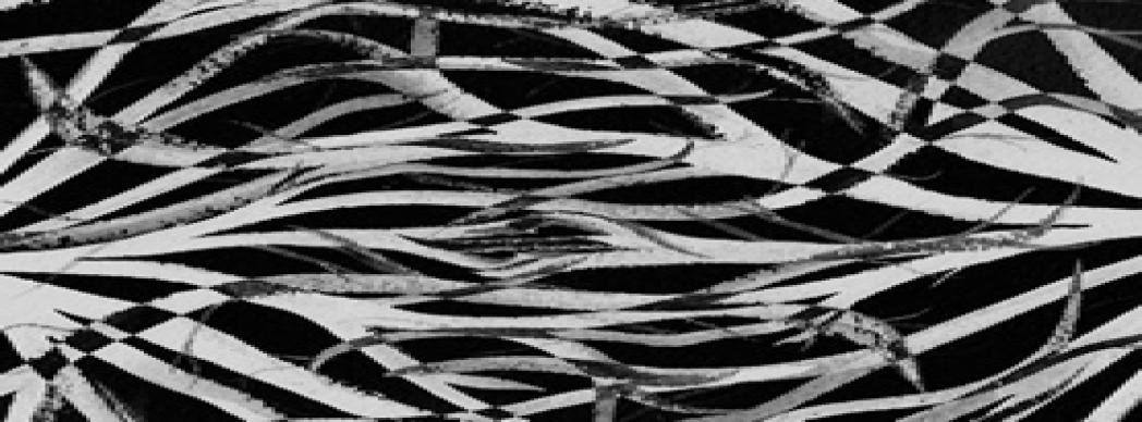 Teatro: "Mutis por el Foro"