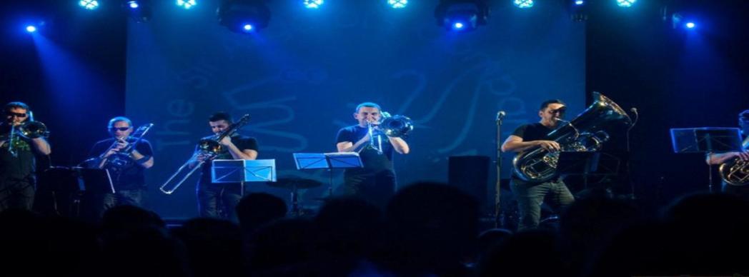 Festival IFOB Pamplona: The Sir Aligator's Company