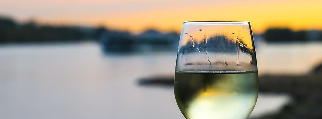 Cata de vino blanco (euskara)