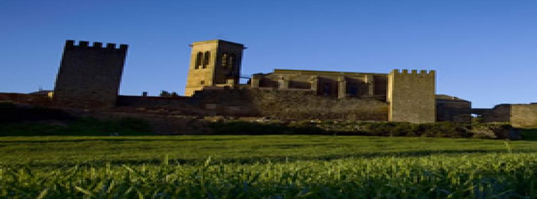 Visitas guiadas al Cerco de Artajona