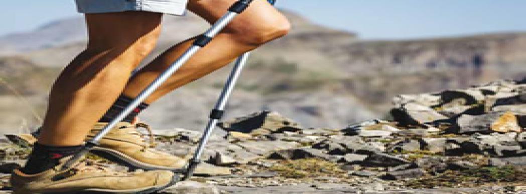 Paseos Guiados Navarra 2018