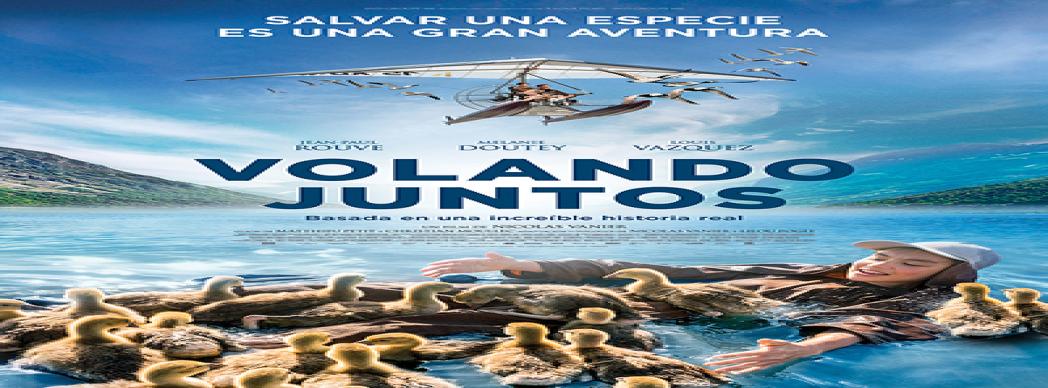 Cine al aire libre en Barañáin: "Volando juntos"