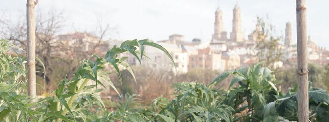 XI Jornadas del Cardo Rojo en Corella 2018